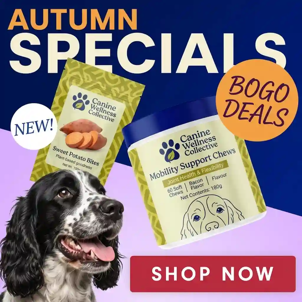 Autumn Special Bogo Drals